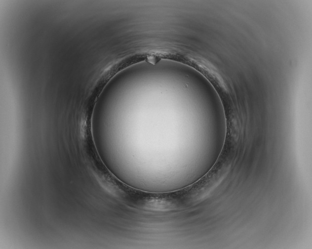 X0000116270596200911301215