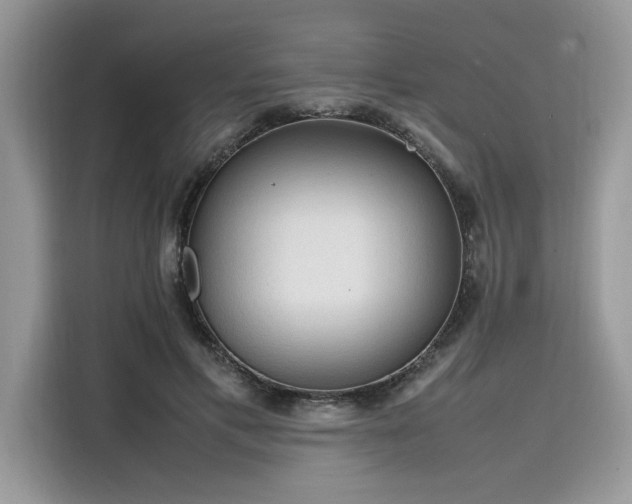 X0000116270597200911301215