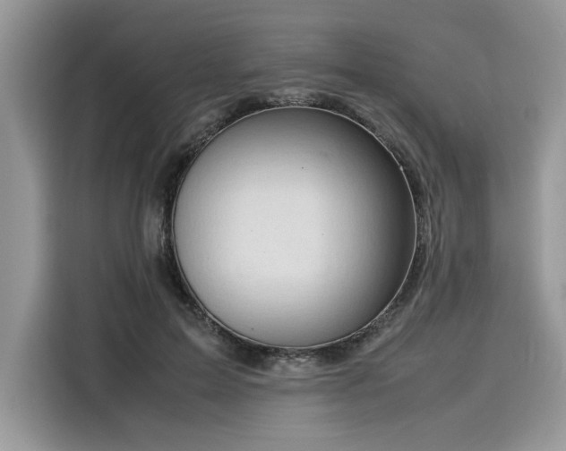 X0000116270599200911301215