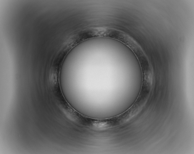 X0000116270602200911301215