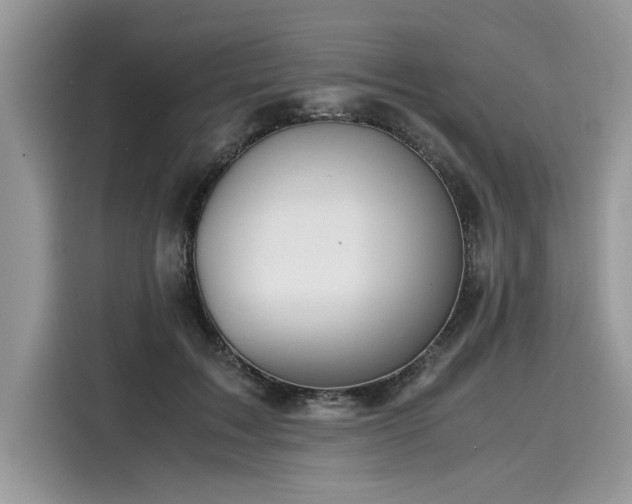 X0000116270603200911301215