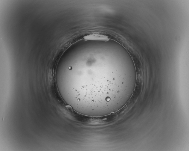 X0000116270605200911301215