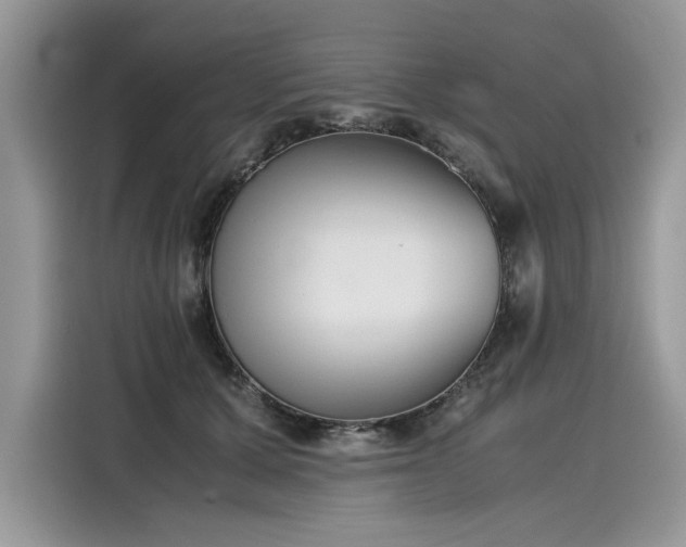X0000116270607200911301215