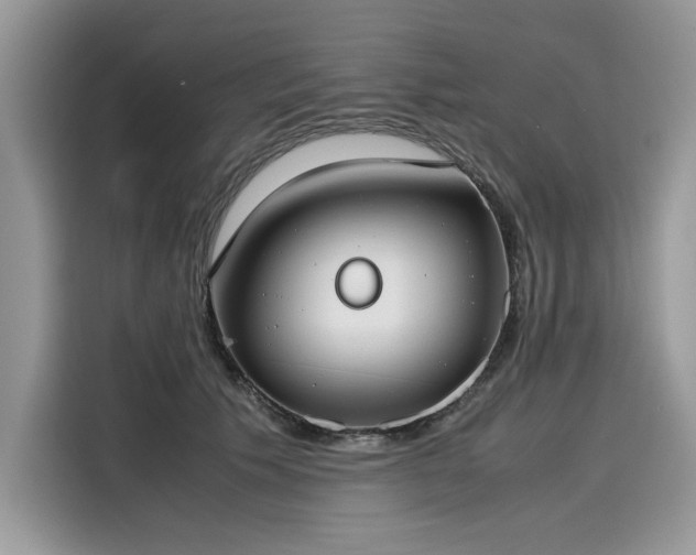 X0000116270609200911301215