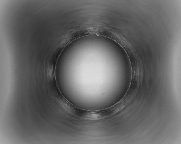 X0000116270610200911301215