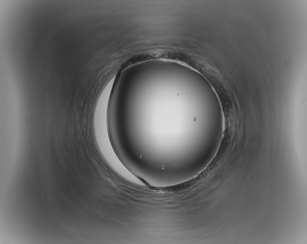X0000116270611200911301215