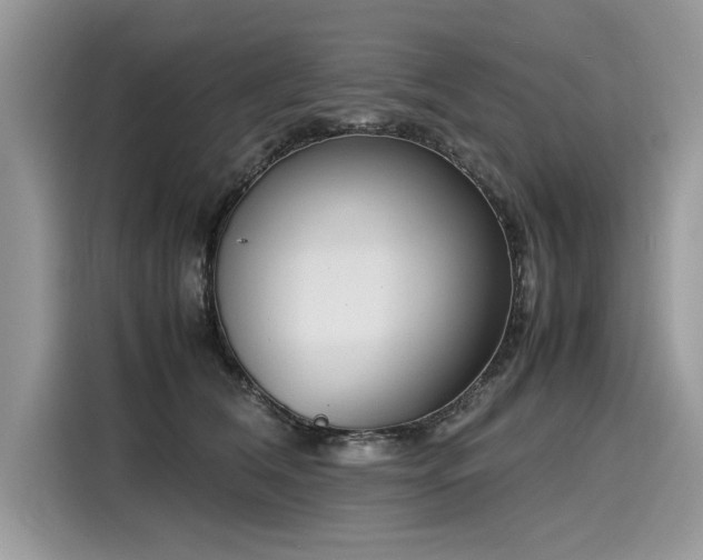 X0000116270612200911301215