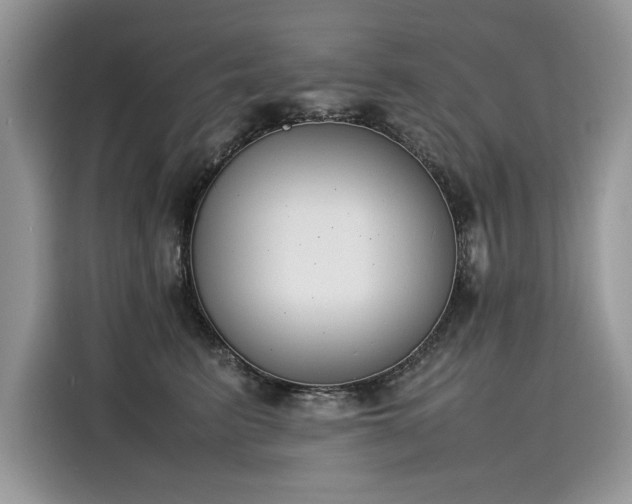 X0000116270615200911301214
