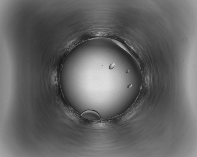 X0000116270620200911301214