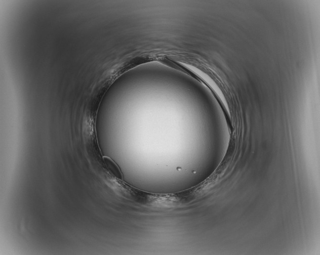 X0000116270621200911301214