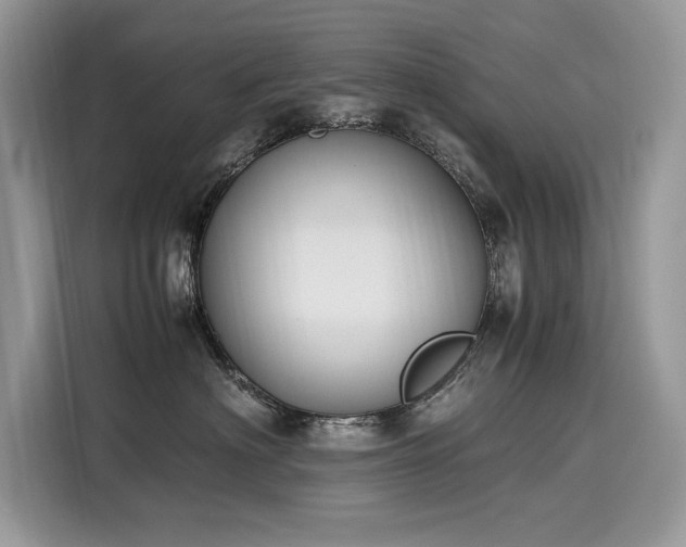 X0000116270622200911301214