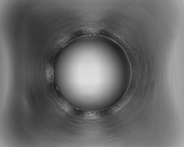 X0000116270624200911301214