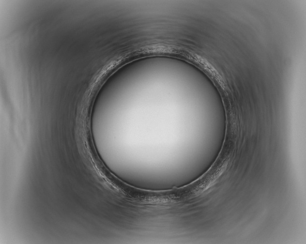 X0000116270625200911301214