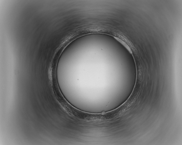 X0000116270626200911301214