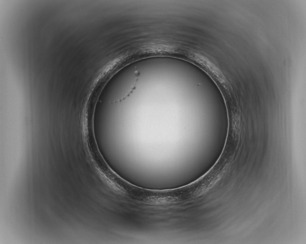 X0000116270629200911301214