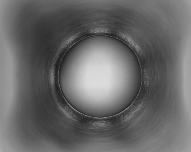 X0000116270631200911301214