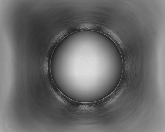 X0000116270633200911301214