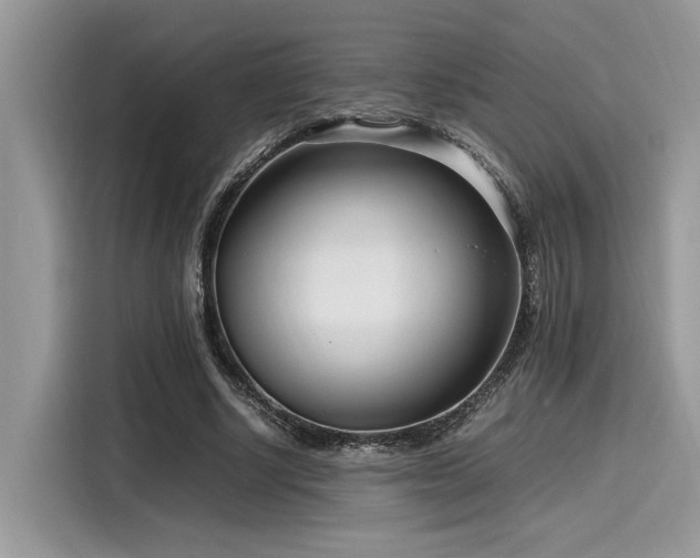 X0000116270634200911301214