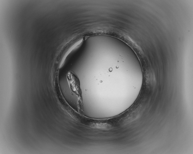 X0000116270637200911301214