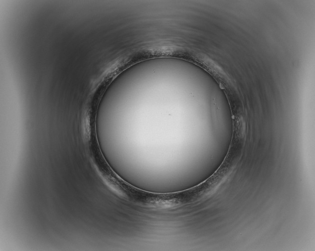 X0000116270638200911301214