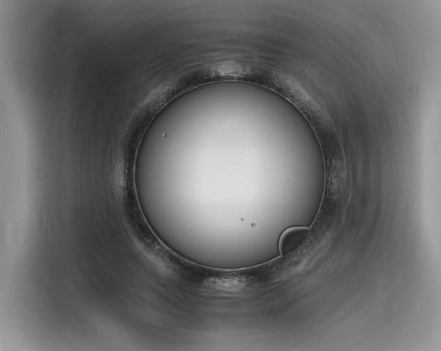 X0000116270639200911301214