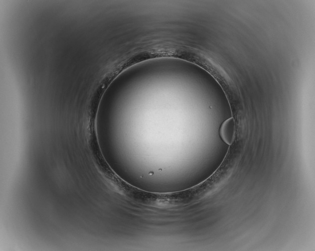 X0000116270641200911301214