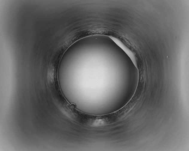 X0000116270647200911301214