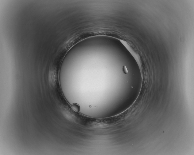 X0000116270648200911301214