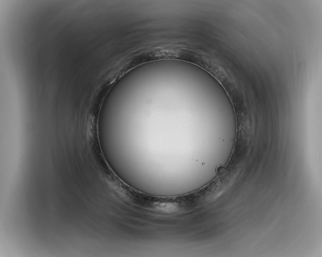 X0000116270649200911301214