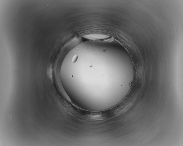 X0000116270651200911301214