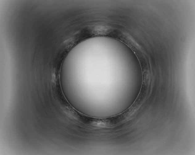 X0000116270655200911301214