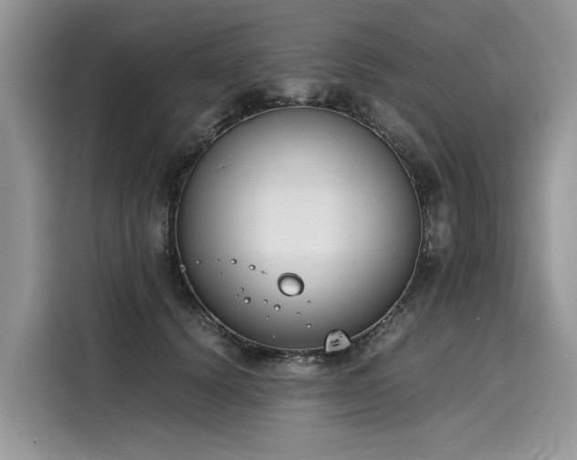 X0000116270656200911301214