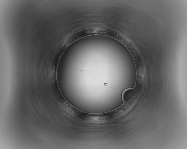 X0000116270657200911301214