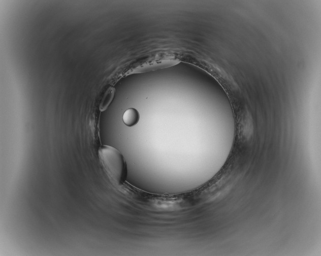X0000116270661200911301214