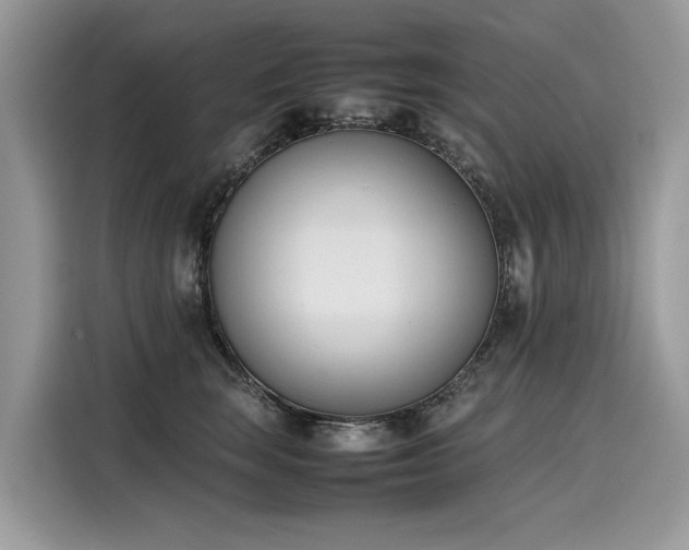 X0000116270663200911301214