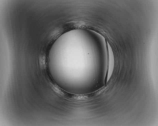 X0000116270670200911301214
