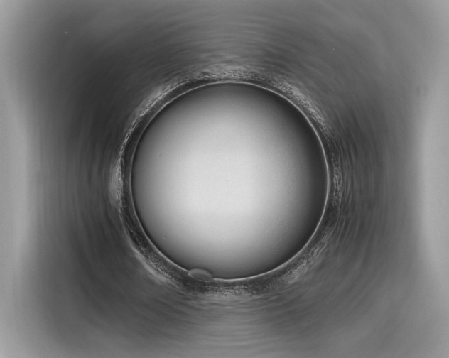 X0000116270674200911301214