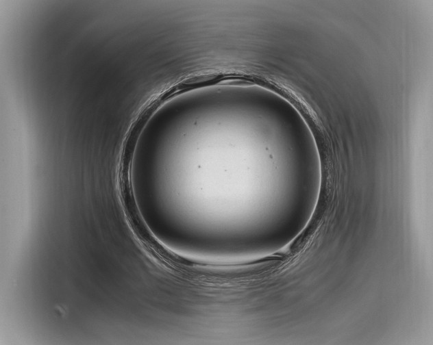 X0000116270677200911301214