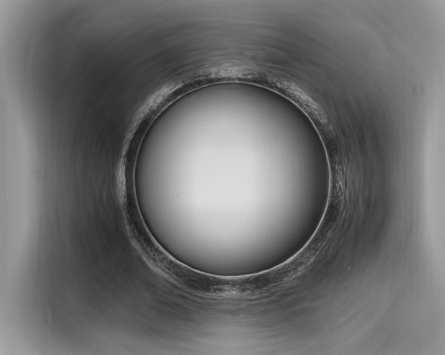 X0000116270678200911301214