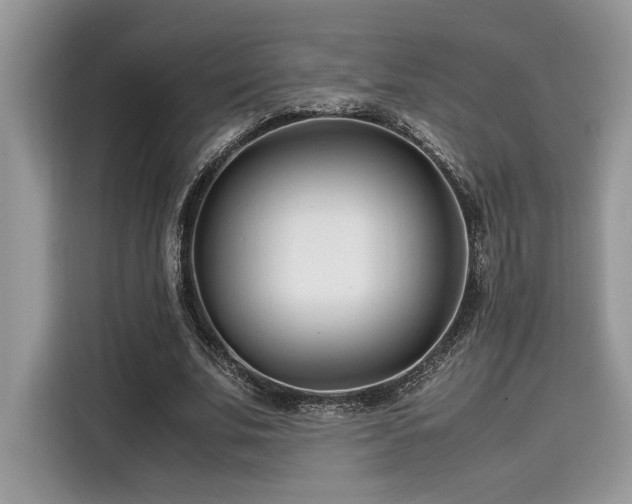 X0000116270679200911301214