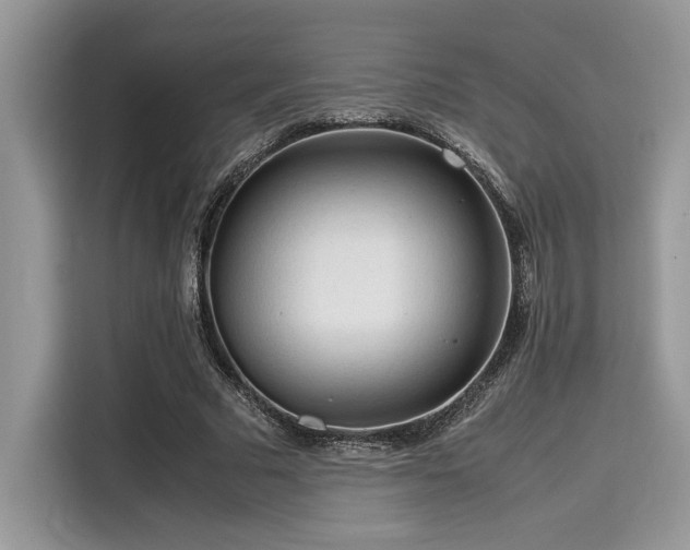X0000116270681200911301214