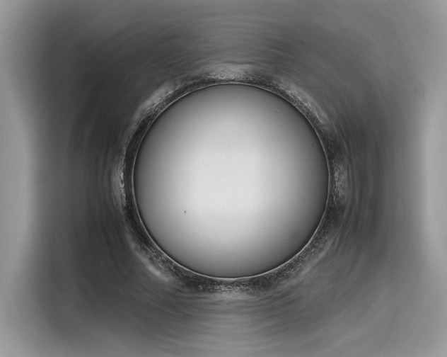 X0000116270682200911301214