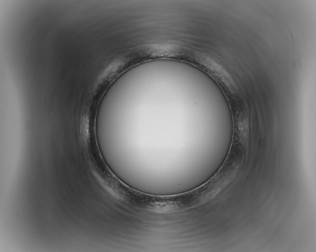 X0000116270686200911301214