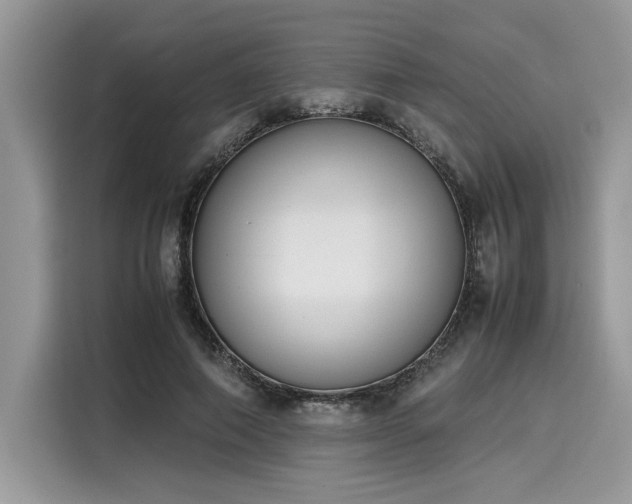 X0000116270690200911301213