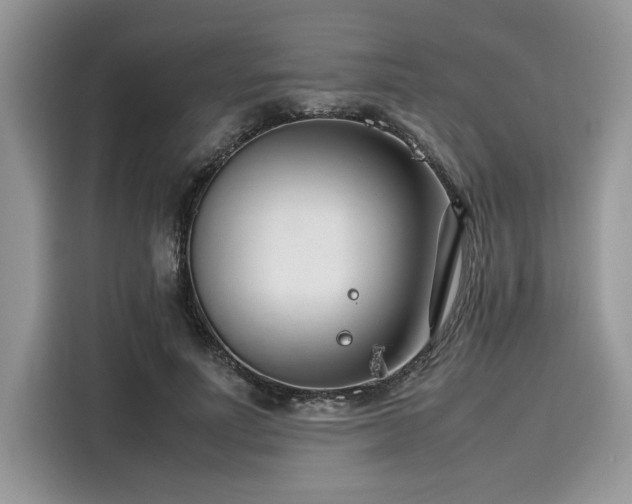 X0000116270691200911301213