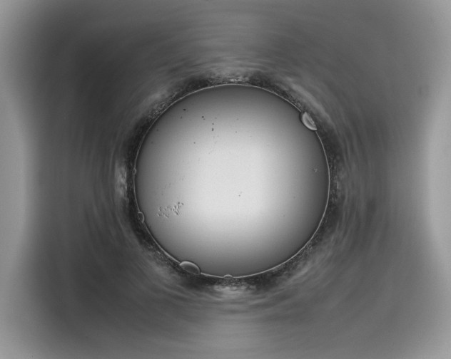 X0000116270693200911301213