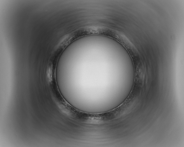 X0000116270694200911301213