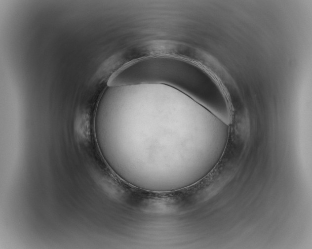 X0000116270696200911301213