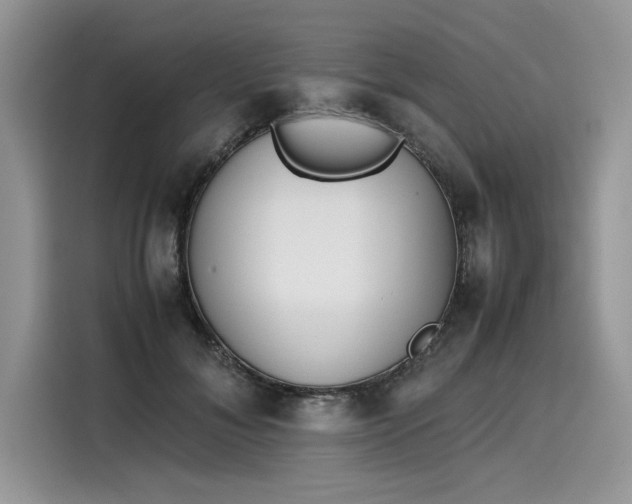 X0000116270700200911301213
