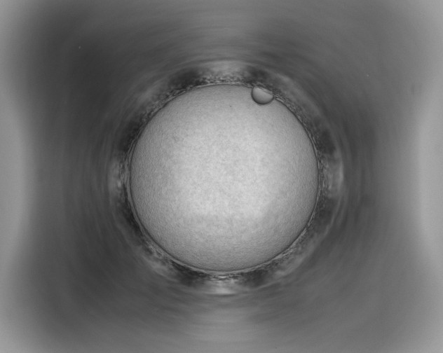 X0000116270701200911301213